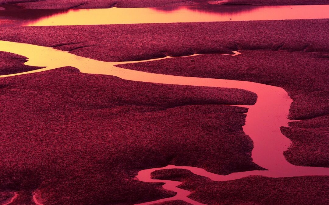 Keuntungan Menggunakan Jaringan Edge Akses Togel Instan untuk Togel Online