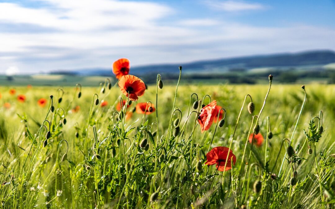 Perjudian Generasi Berikutnya: Memahami Teknologi Togel Latensi Rendah